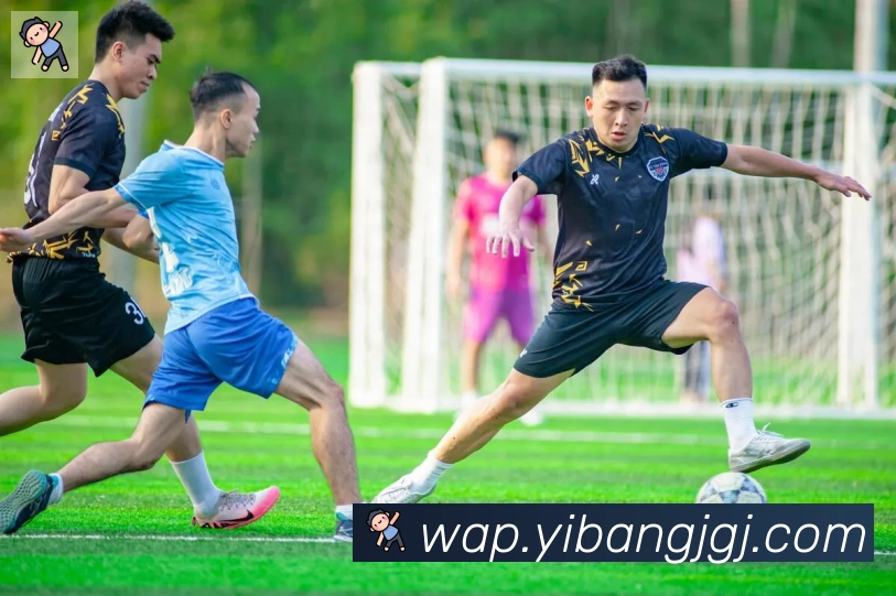 开云kaiyun网页版官网荣誉