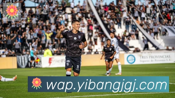 开云kaiyun网页版官网荣誉