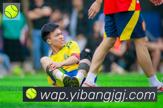 开云kaiyun网页版官网荣誉