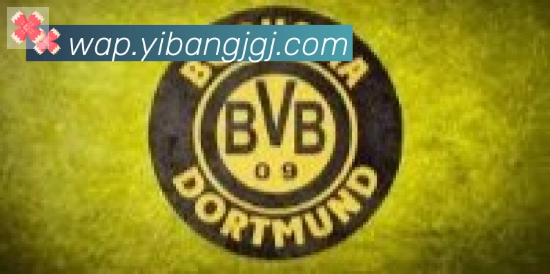 开云kaiyun网页版官网合作伙伴